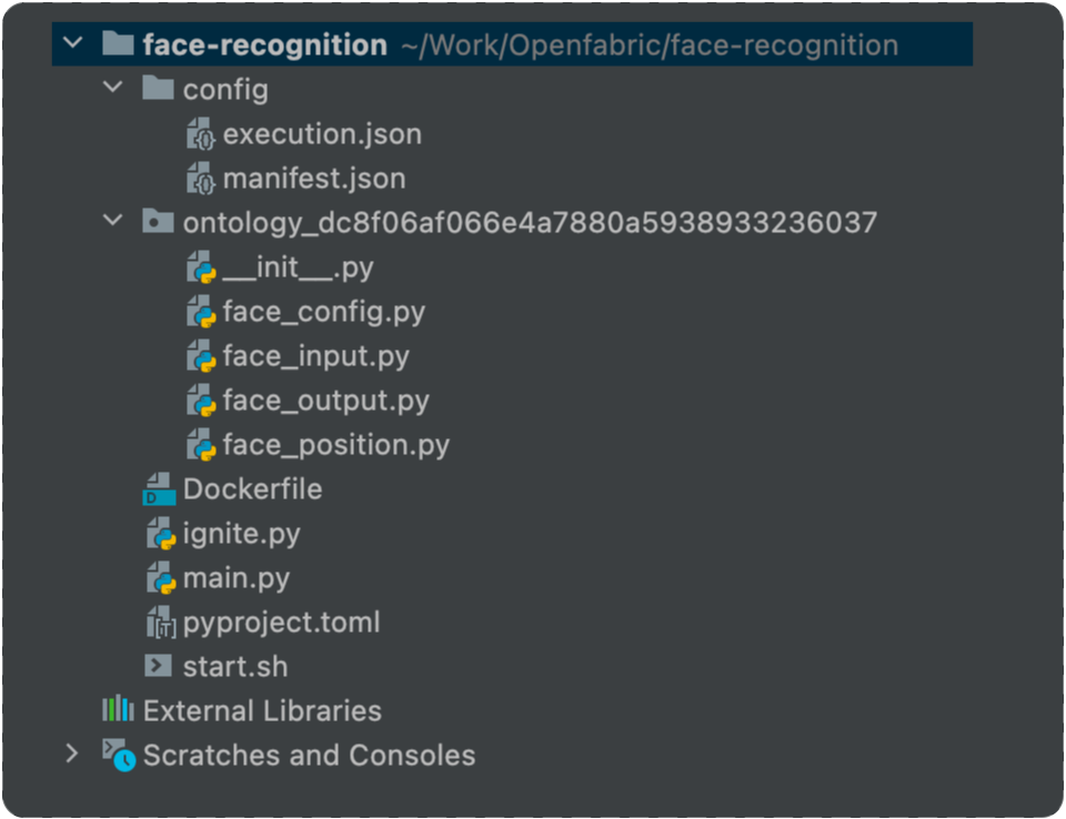 Face Recognition - Model Connections