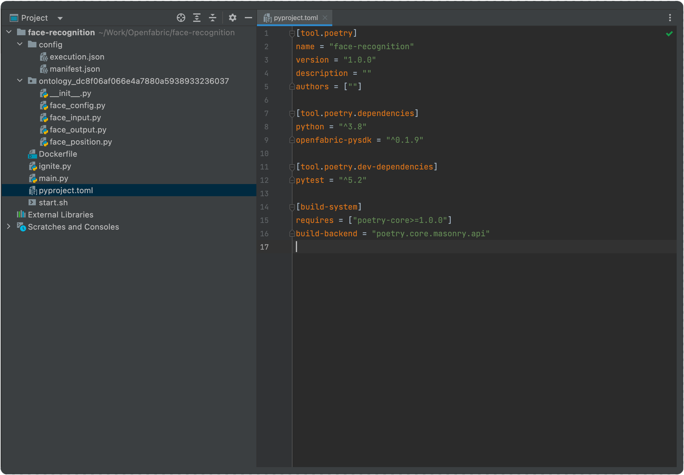 Face Recognition - Project Structure Main